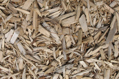 biomass boilers Magheralin